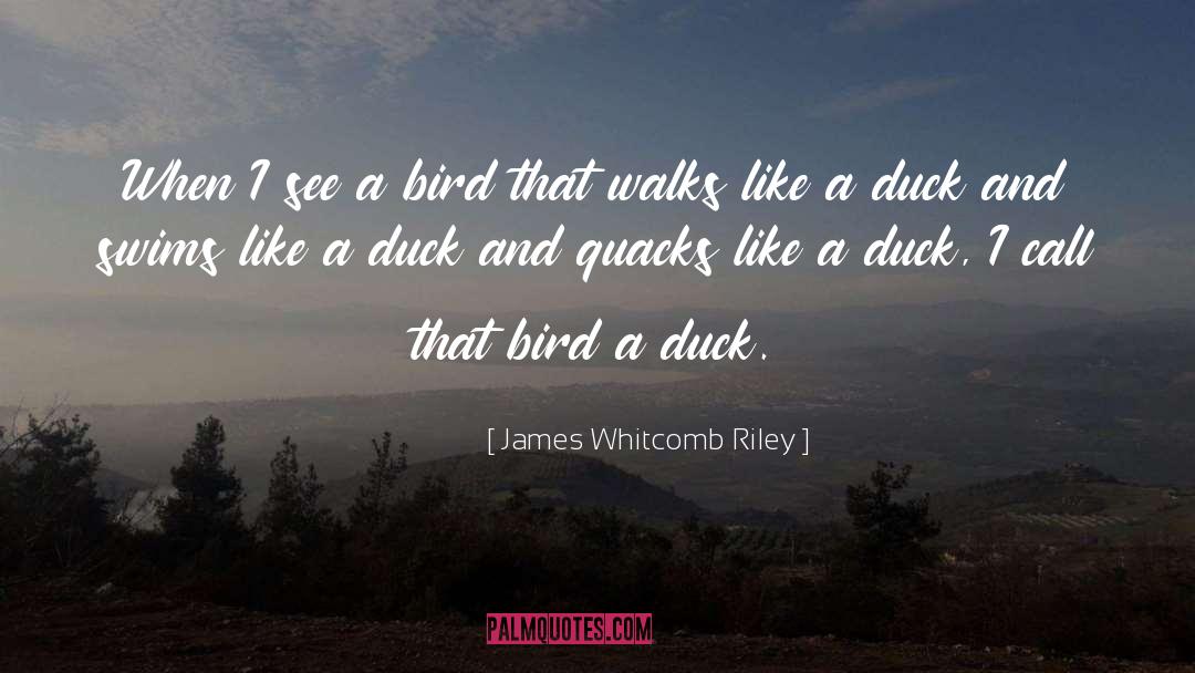 James Whitcomb Riley Quotes: When I see a bird