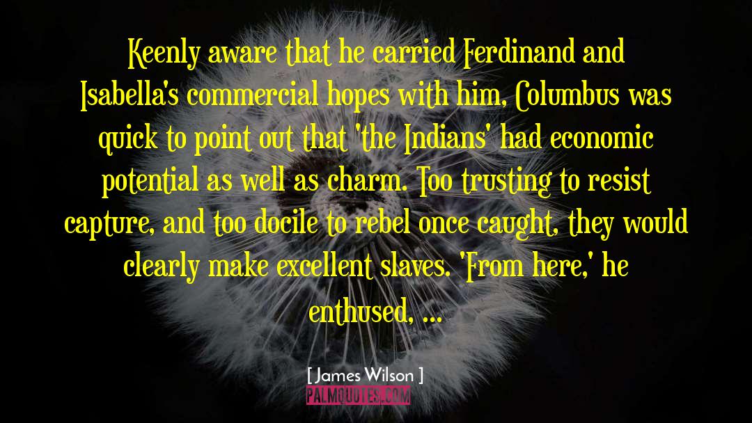 James Wilson Quotes: Keenly aware that he carried