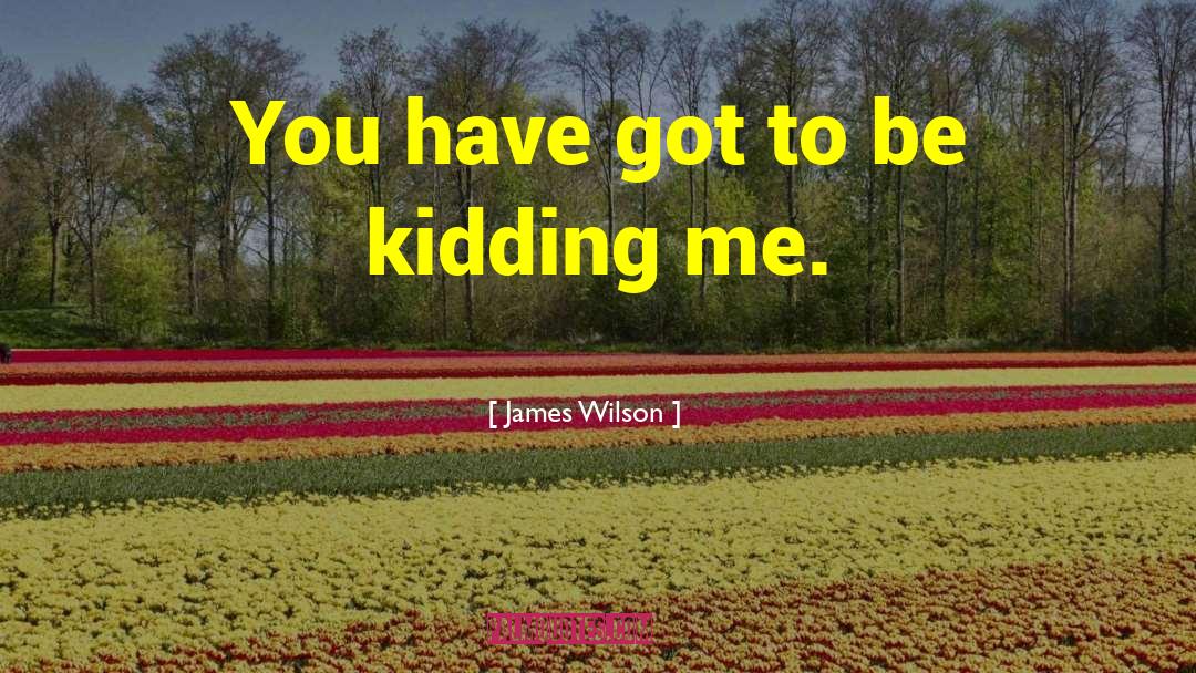 James Wilson Quotes: You have got to be