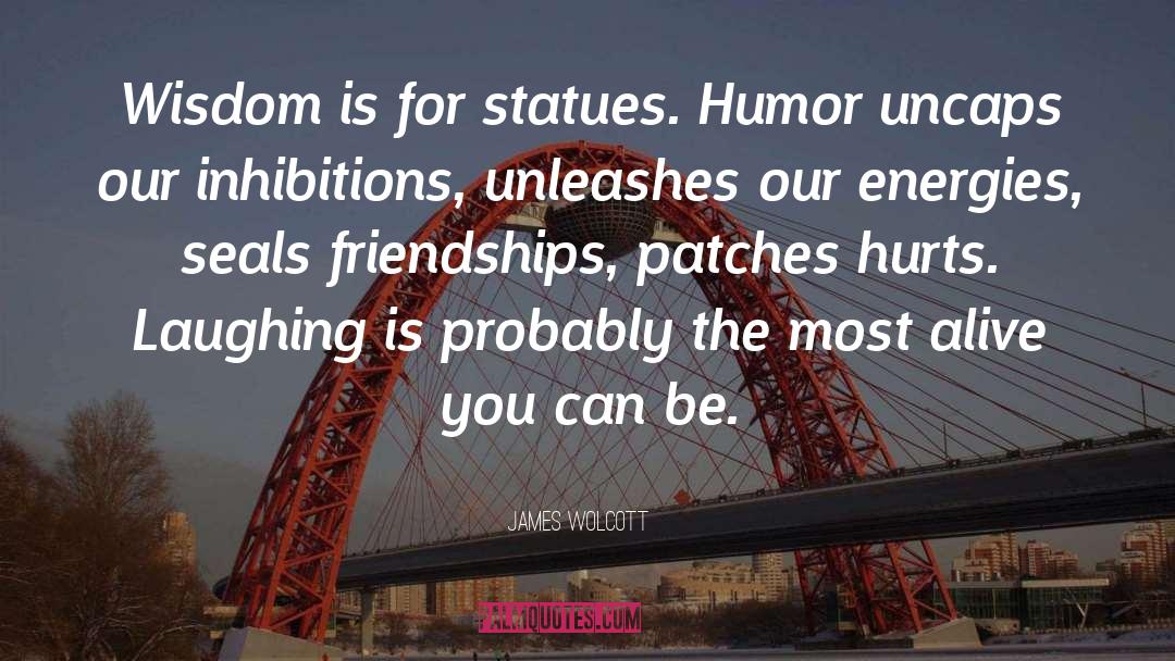 James Wolcott Quotes: Wisdom is for statues. Humor
