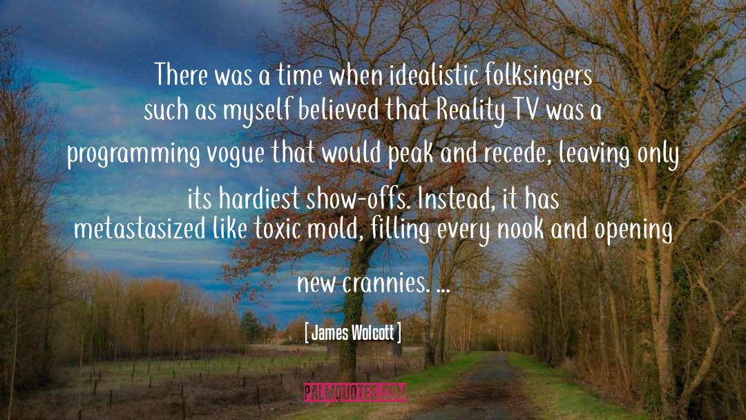 James Wolcott Quotes: There was a time when