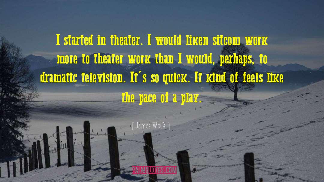 James Wolk Quotes: I started in theater. I