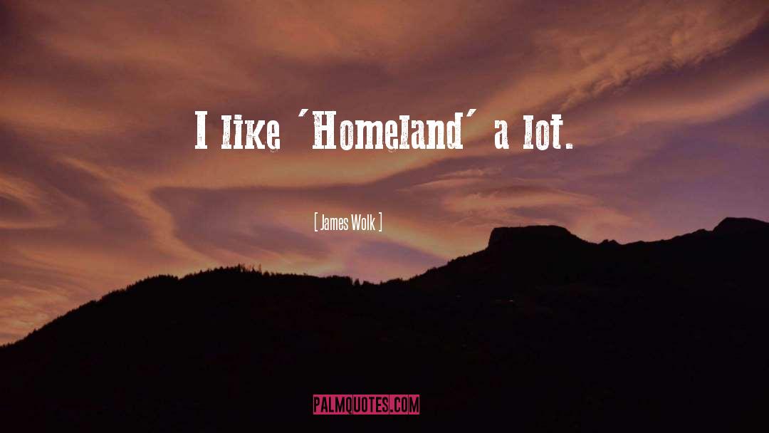 James Wolk Quotes: I like 'Homeland' a lot.