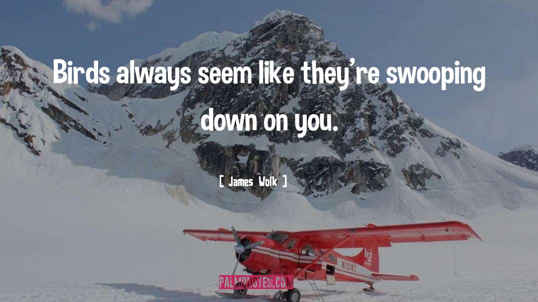 James Wolk Quotes: Birds always seem like they're