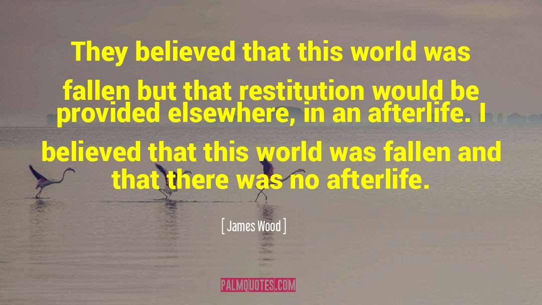 James Wood Quotes: They believed that this world