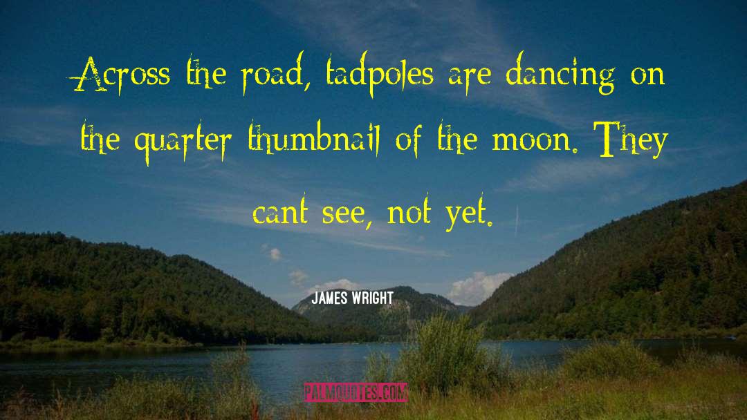 James Wright Quotes: Across the road, tadpoles are