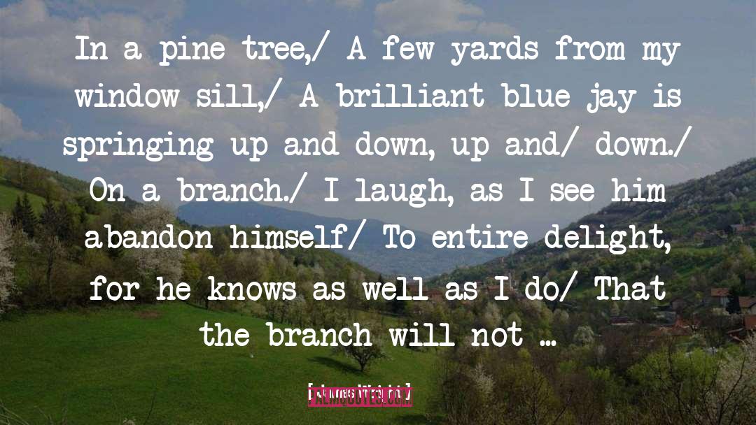 James Wright Quotes: In a pine tree,/ A