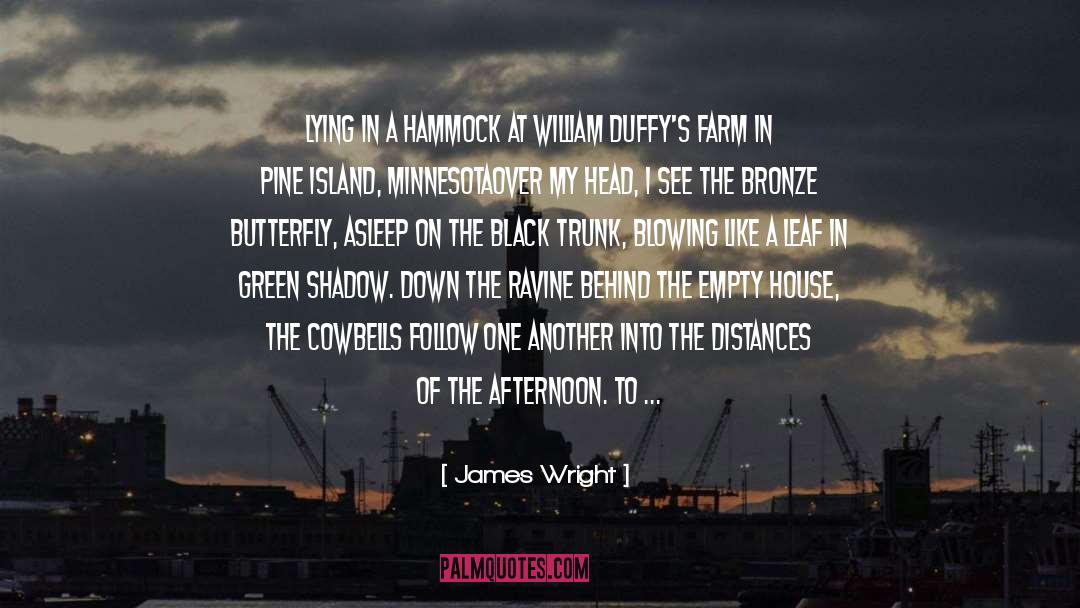 James Wright Quotes: Lying in a Hammock at