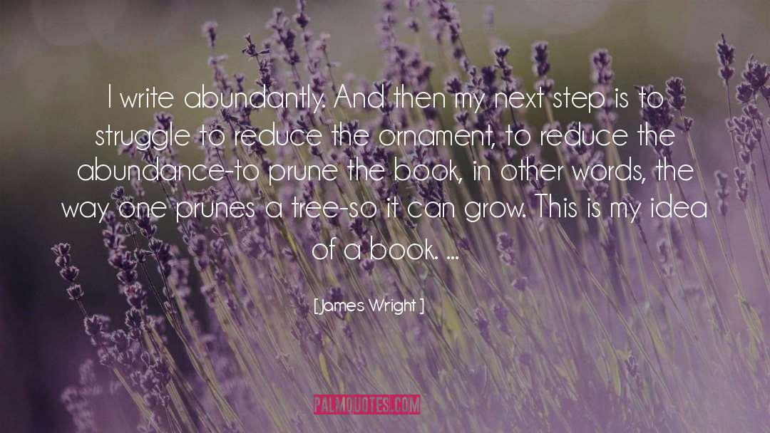 James Wright Quotes: I write abundantly. And then