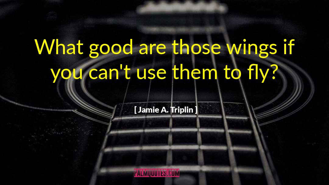 Jamie A. Triplin Quotes: What good are those wings