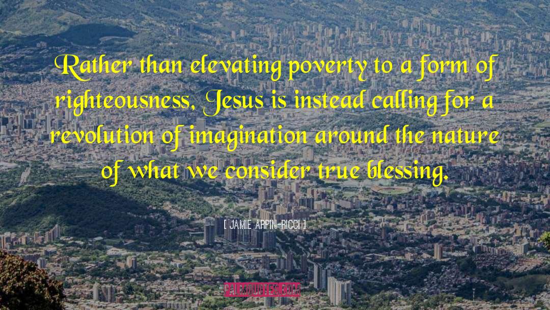 Jamie Arpin-Ricci Quotes: Rather than elevating poverty to
