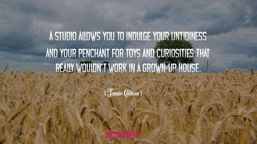 Jamie Cullum Quotes: A studio allows you to