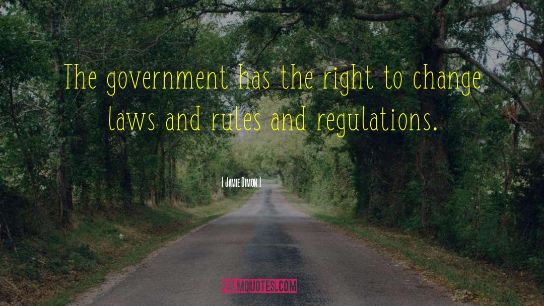 Jamie Dimon Quotes: The government has the right