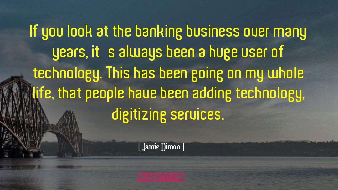 Jamie Dimon Quotes: If you look at the