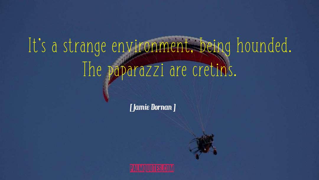 Jamie Dornan Quotes: It's a strange environment, being