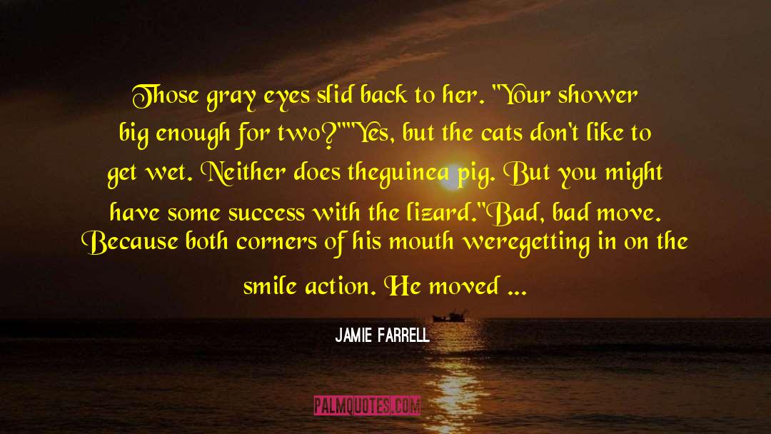 Jamie Farrell Quotes: Those gray eyes slid back