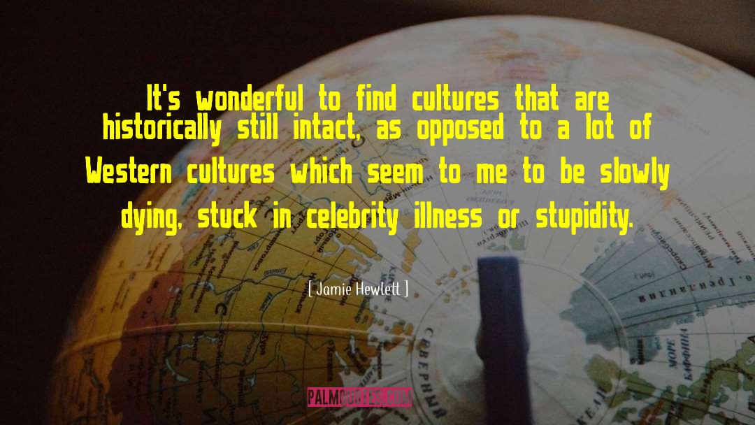 Jamie Hewlett Quotes: It's wonderful to find cultures