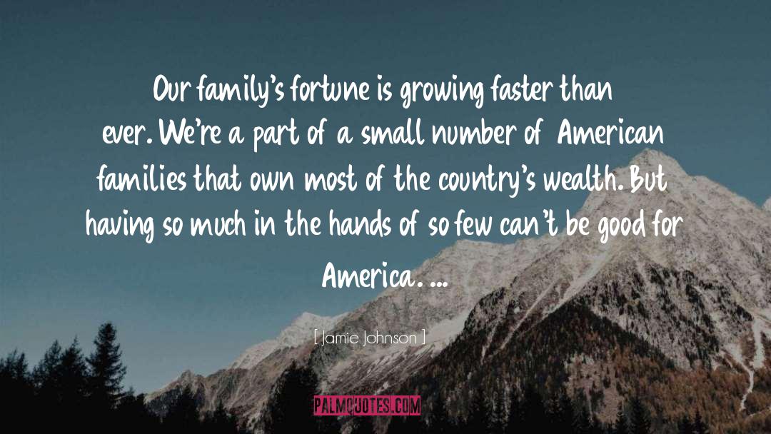 Jamie Johnson Quotes: Our family's fortune is growing