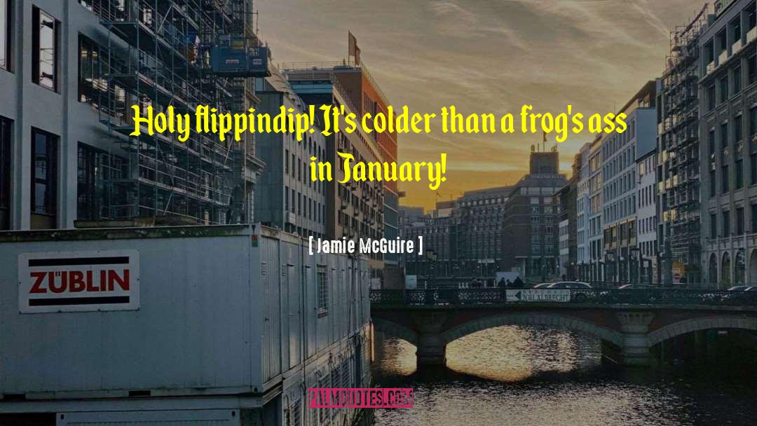 Jamie McGuire Quotes: Holy flippindip! It's colder than