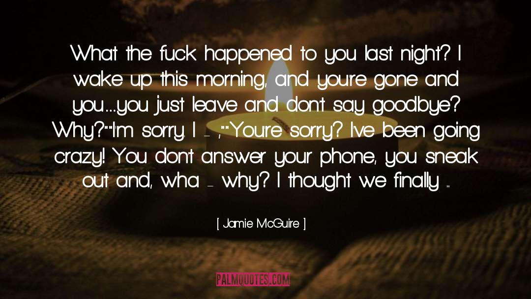 Jamie McGuire Quotes: What the fuck happened to
