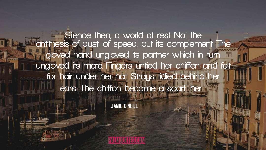 Jamie O'Neill Quotes: Silence then, a world at