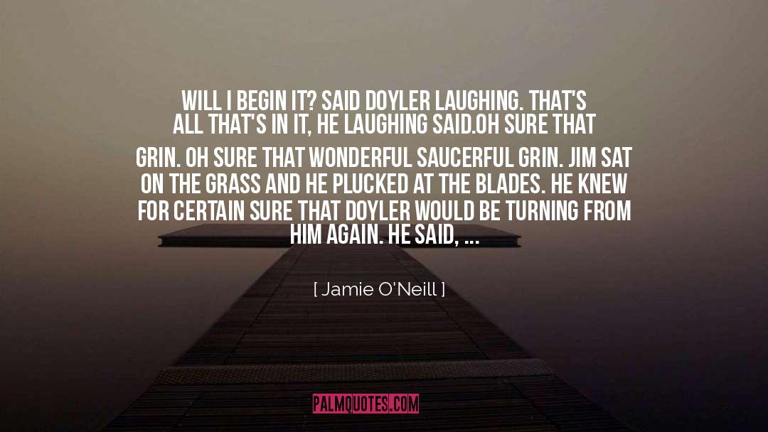 Jamie O'Neill Quotes: Will I begin it? said