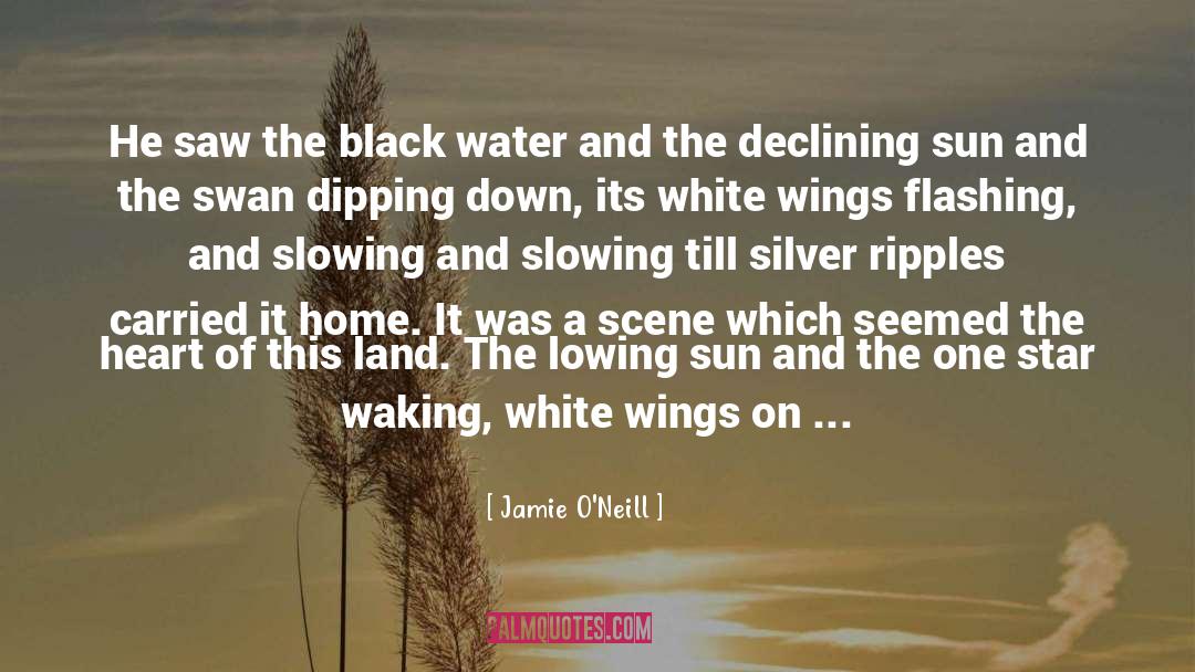 Jamie O'Neill Quotes: He saw the black water