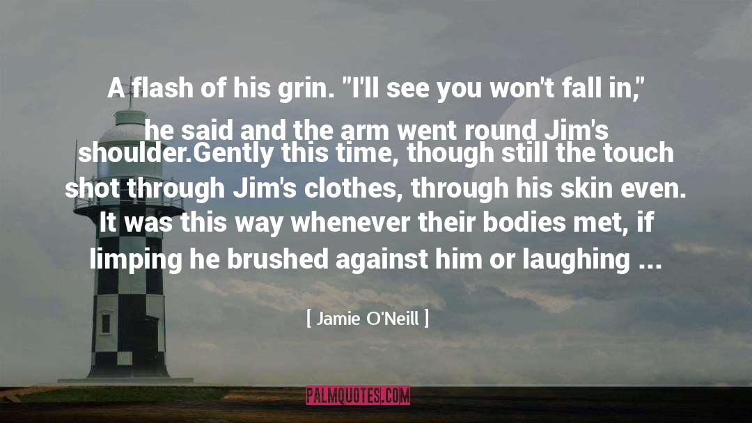 Jamie O'Neill Quotes: A flash of his grin.