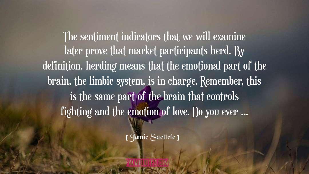Jamie Saettele Quotes: The sentiment indicators that we
