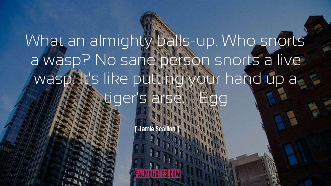 Jamie Scallion Quotes: What an almighty balls-up. Who