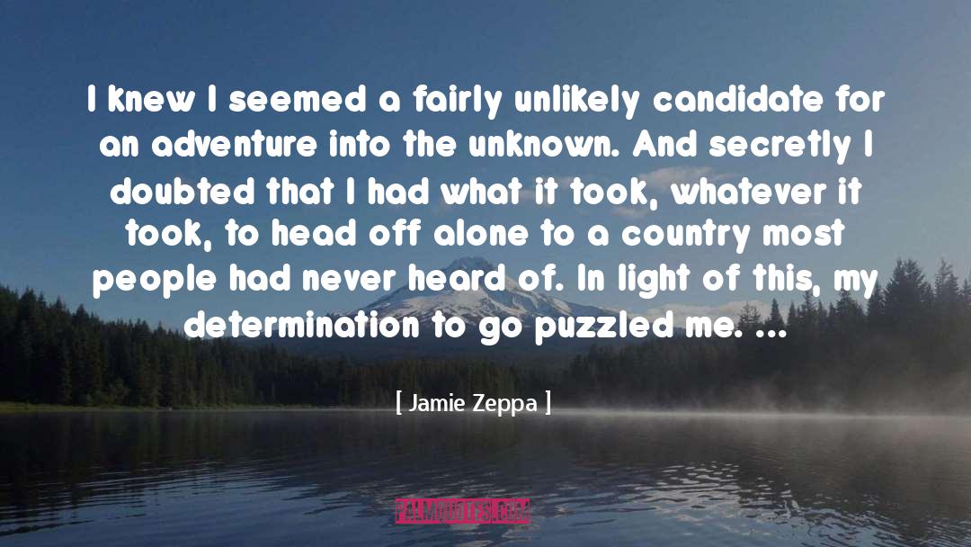 Jamie Zeppa Quotes: I knew I seemed a