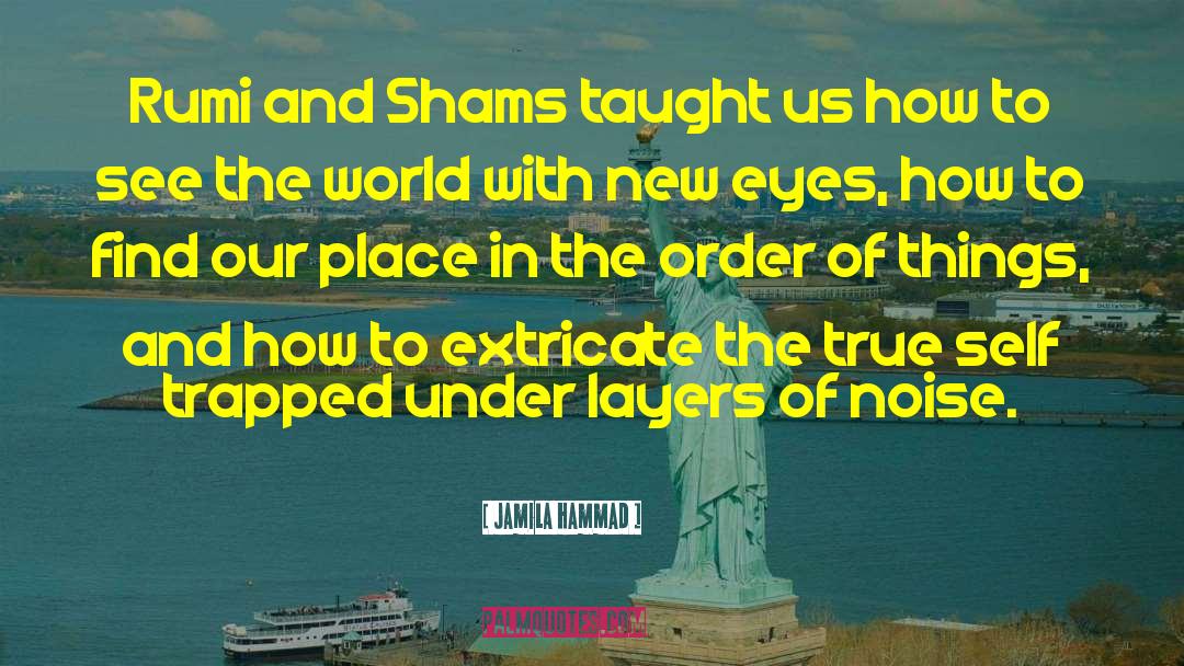 Jamila Hammad Quotes: Rumi and Shams taught us