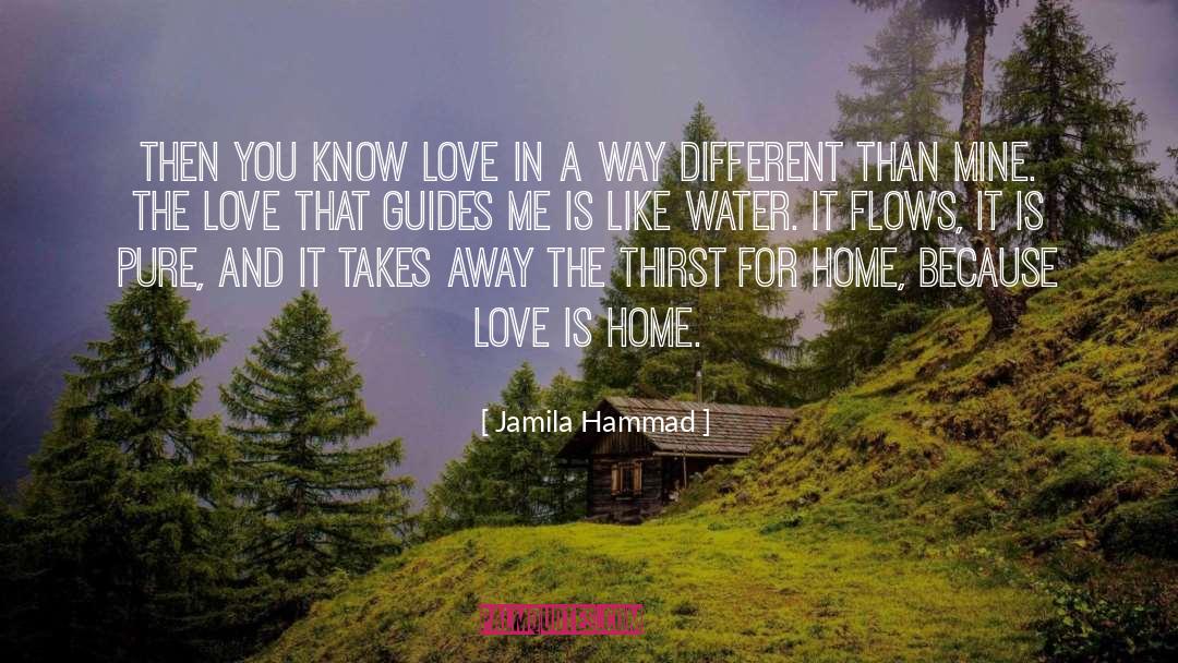 Jamila Hammad Quotes: Then you know love in
