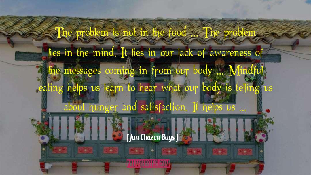 Jan Chozen Bays Quotes: The problem is not in