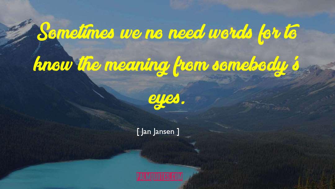 Jan Jansen Quotes: Sometimes we no need words