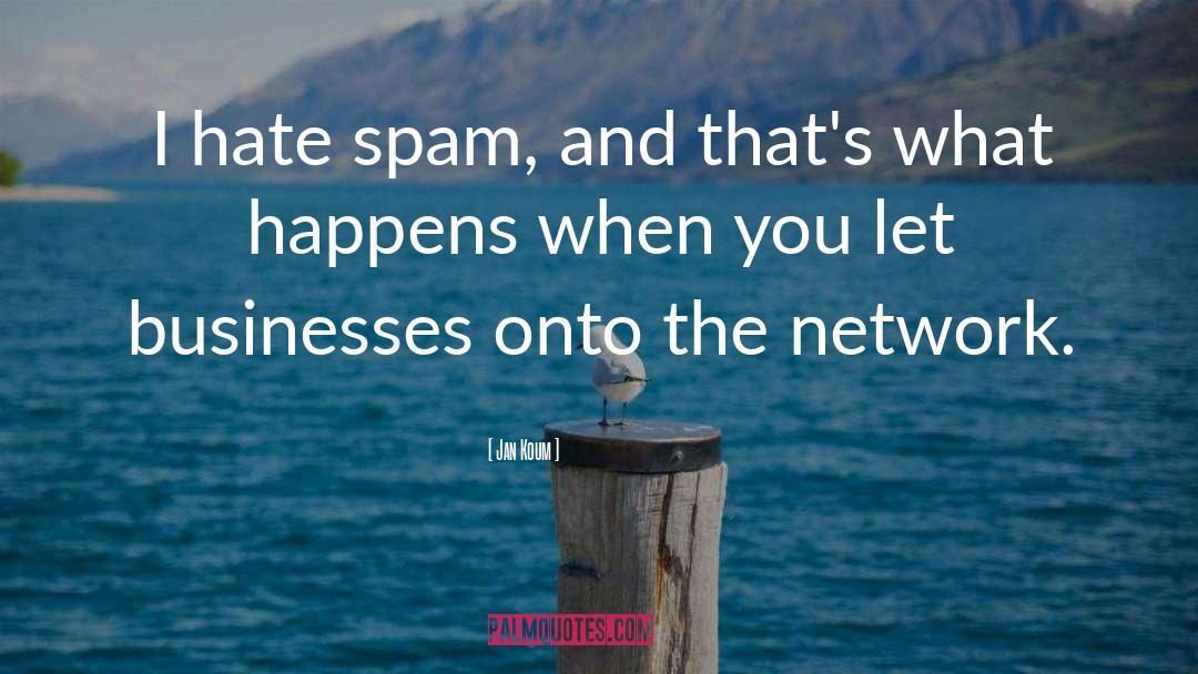 Jan Koum Quotes: I hate spam, and that's