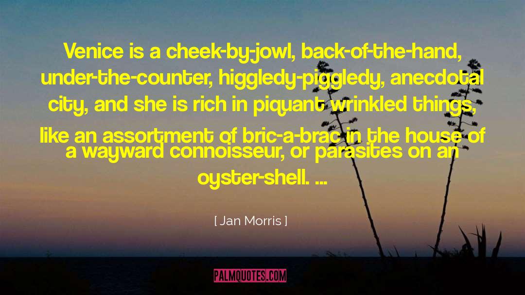 Jan Morris Quotes: Venice is a cheek-by-jowl, back-of-the-hand,