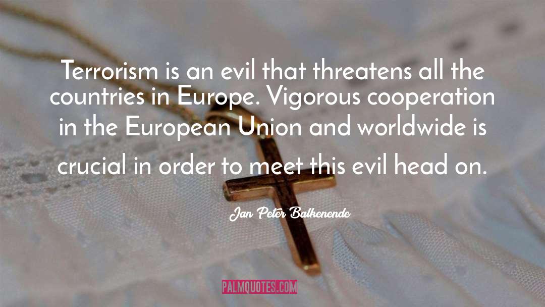 Jan Peter Balkenende Quotes: Terrorism is an evil that