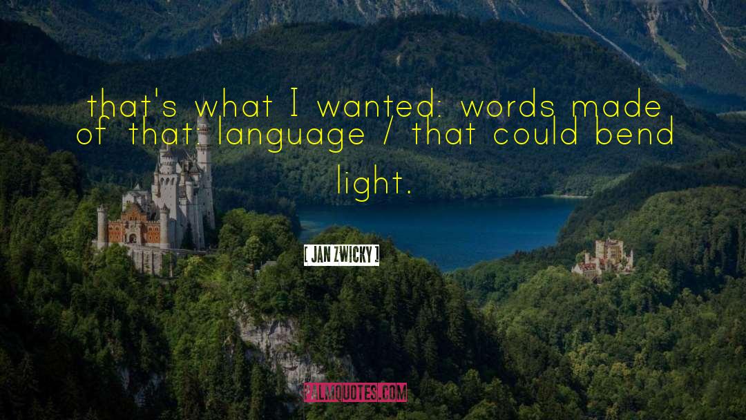 Jan Zwicky Quotes: that's what I wanted: words