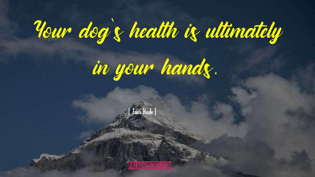 Jana Rade Quotes: Your dog's health is ultimately