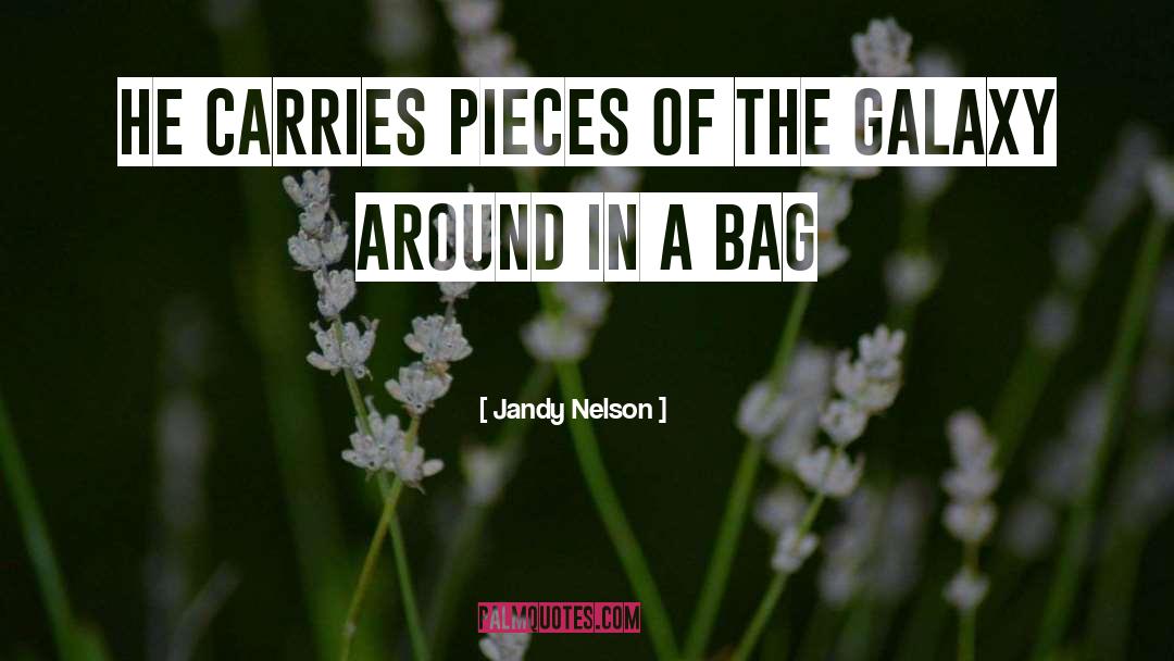 Jandy Nelson Quotes: He carries pieces of the