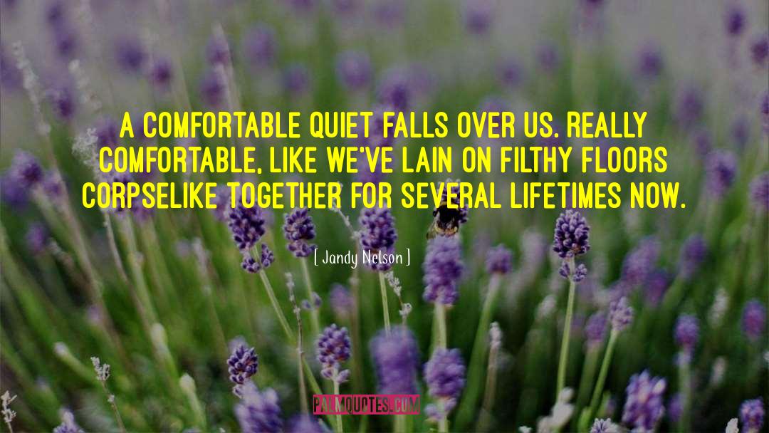 Jandy Nelson Quotes: A comfortable quiet falls over