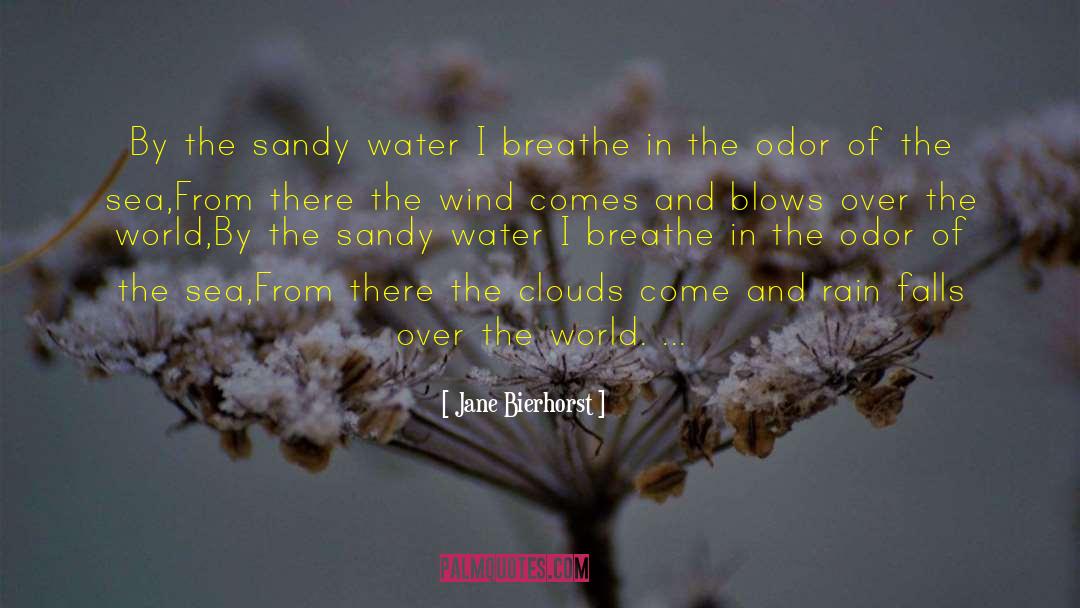 Jane Bierhorst Quotes: By the sandy water I