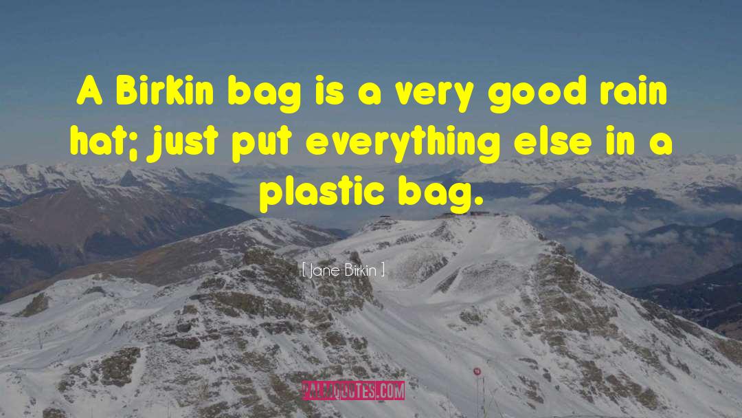 Jane Birkin Quotes: A Birkin bag is a