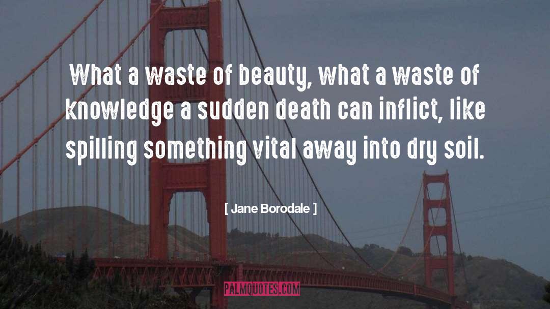 Jane Borodale Quotes: What a waste of beauty,