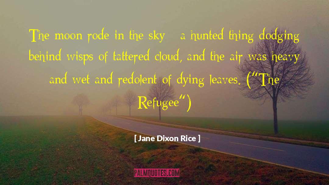 Jane Dixon Rice Quotes: The moon rode in the