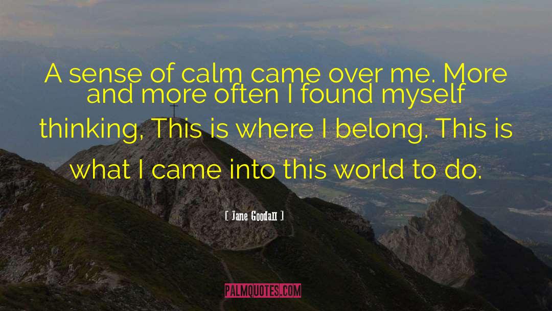 Jane Goodall Quotes: A sense of calm came