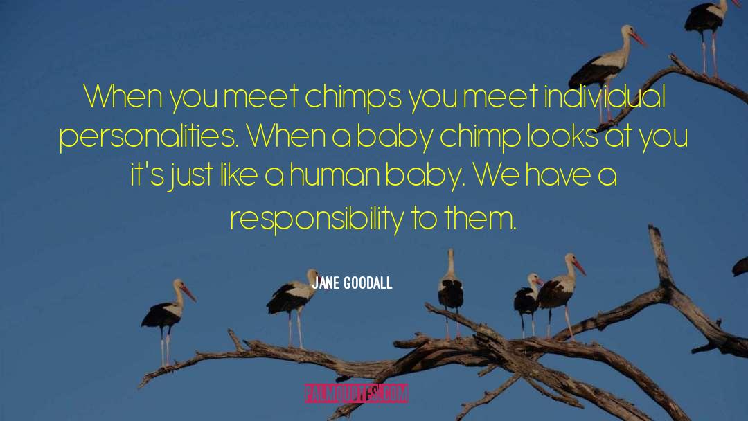 Jane Goodall Quotes: When you meet chimps you