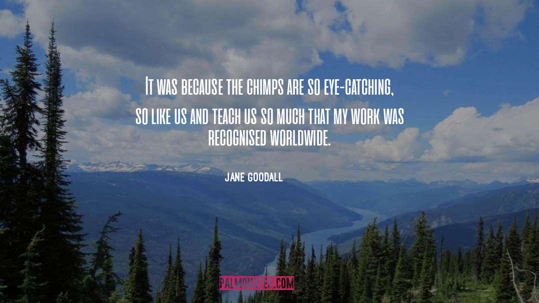 Jane Goodall Quotes: It was because the chimps