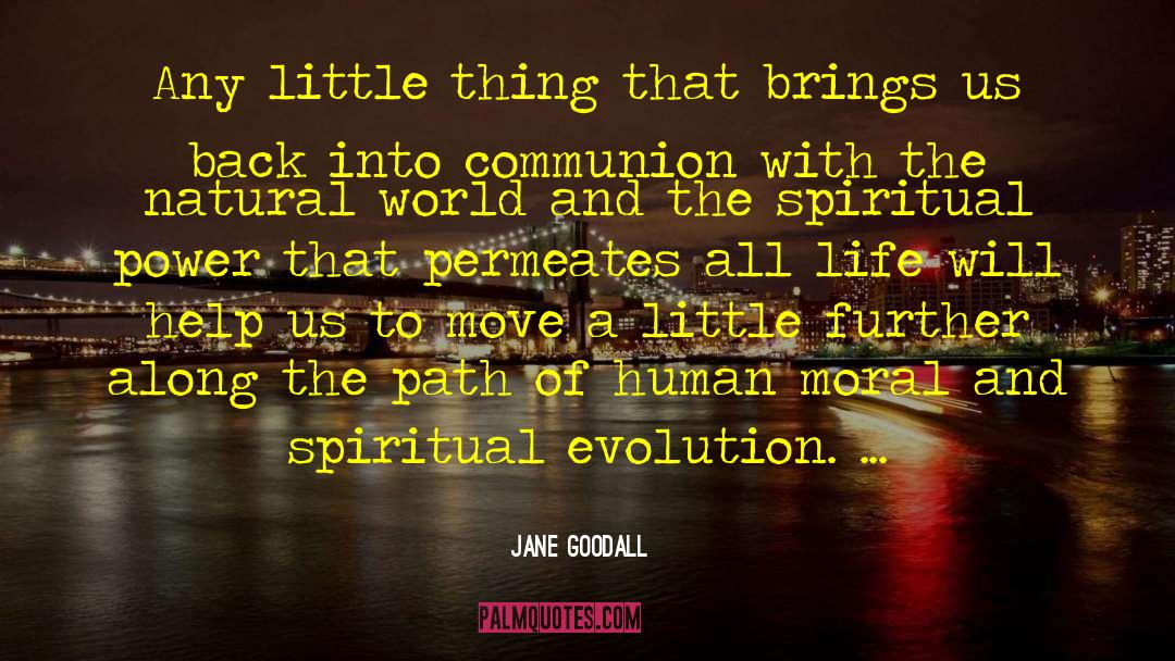 Jane Goodall Quotes: Any little thing that brings